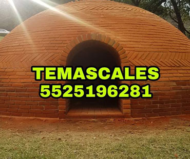Cúpulas y Bóvedas León